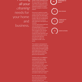 carpet cleaning london: Services Offered by Carpet Cleaning London